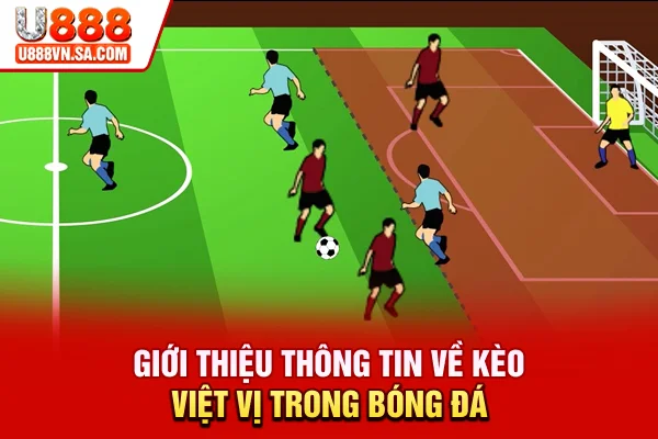 Kèo Việt Vị Là Gì? Cách Chọn Và Kỹ Năng Soi Kèo Hiệu Quả % Giới thiệu thông tin về kèo việt vị trong bóng đá